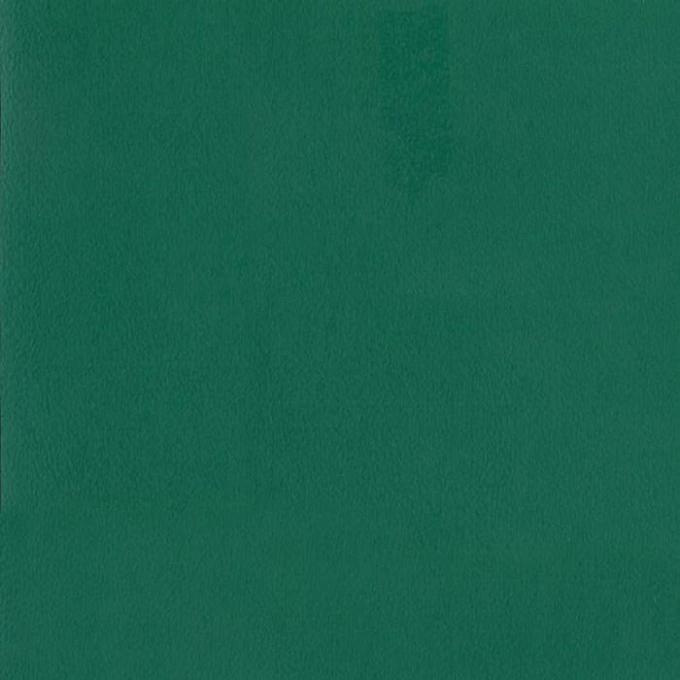 Спортивный линолеум Tarkett Cspei Forest Green